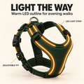 Zelvoripets™ NightTrail Rechargeable LED Dog Harness